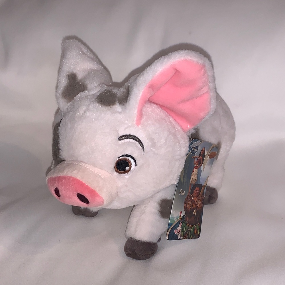 “Pua” from Disney’s Moana